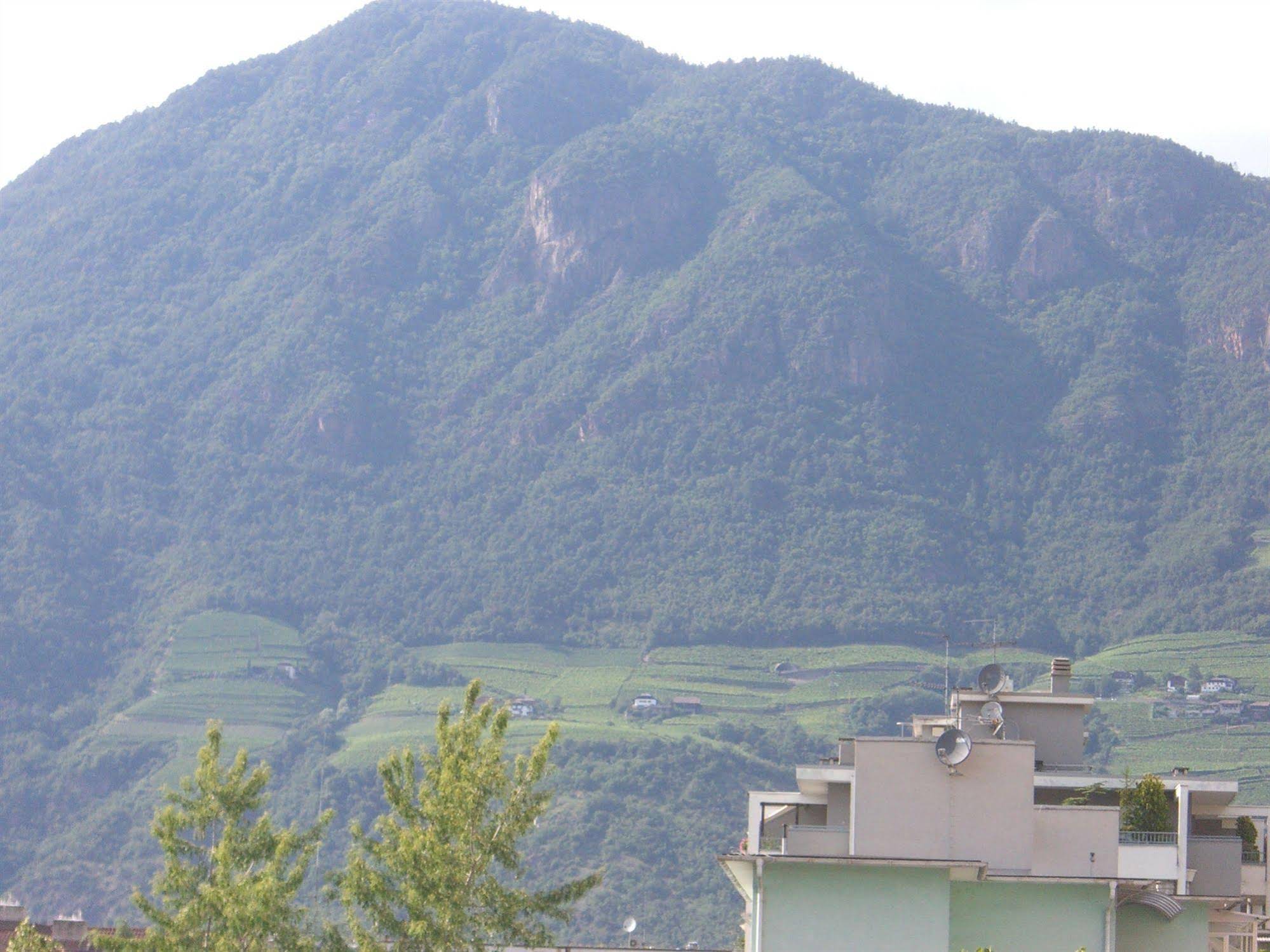 Hotel Ariston