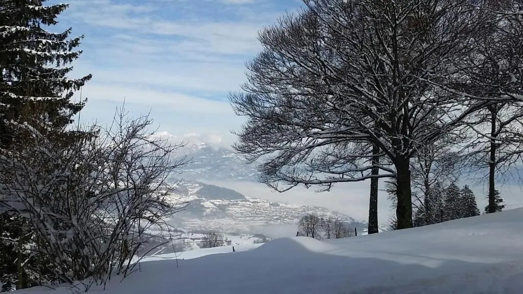 Garni Fobbie