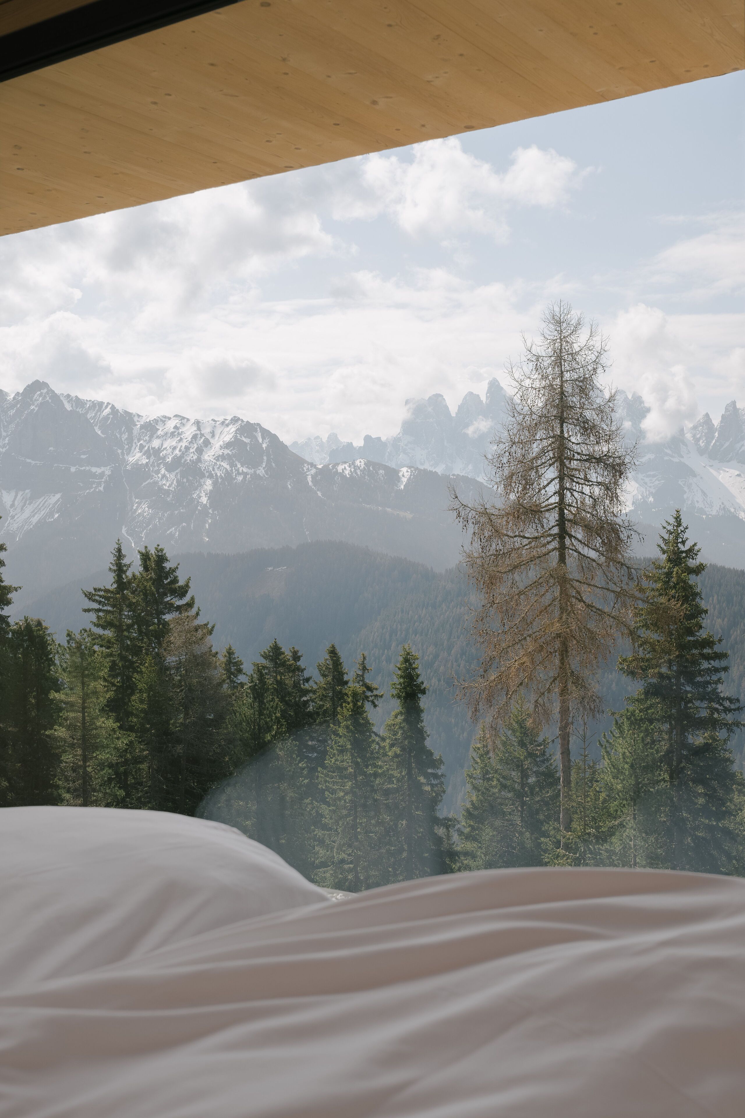Anders Mountain Suites