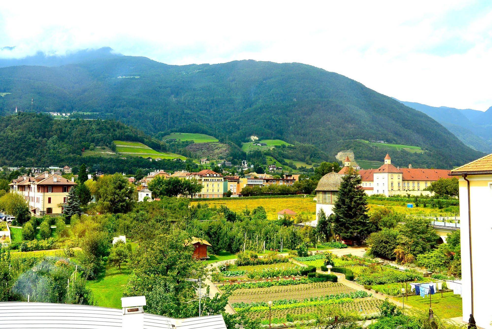 Hotel Traube
