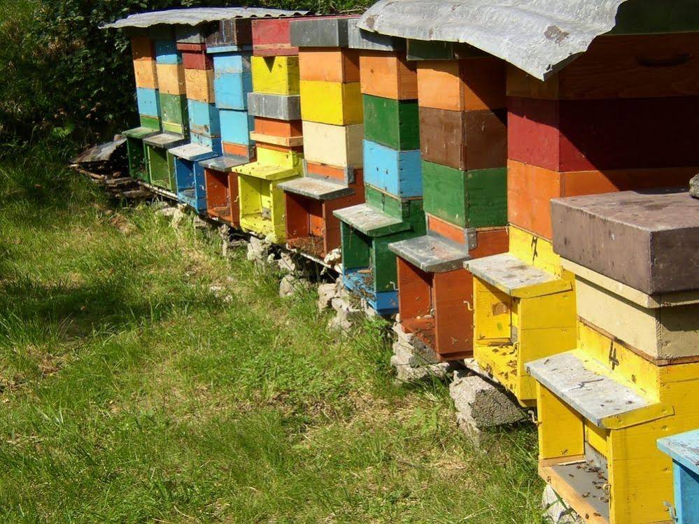 Dalla Natura La Salute