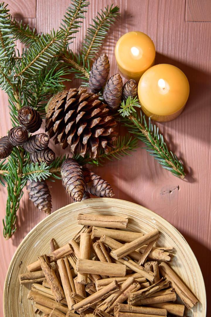 Dolomit Homes & Hotel