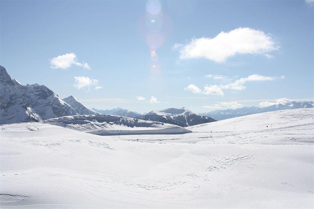 Bella di Bosco