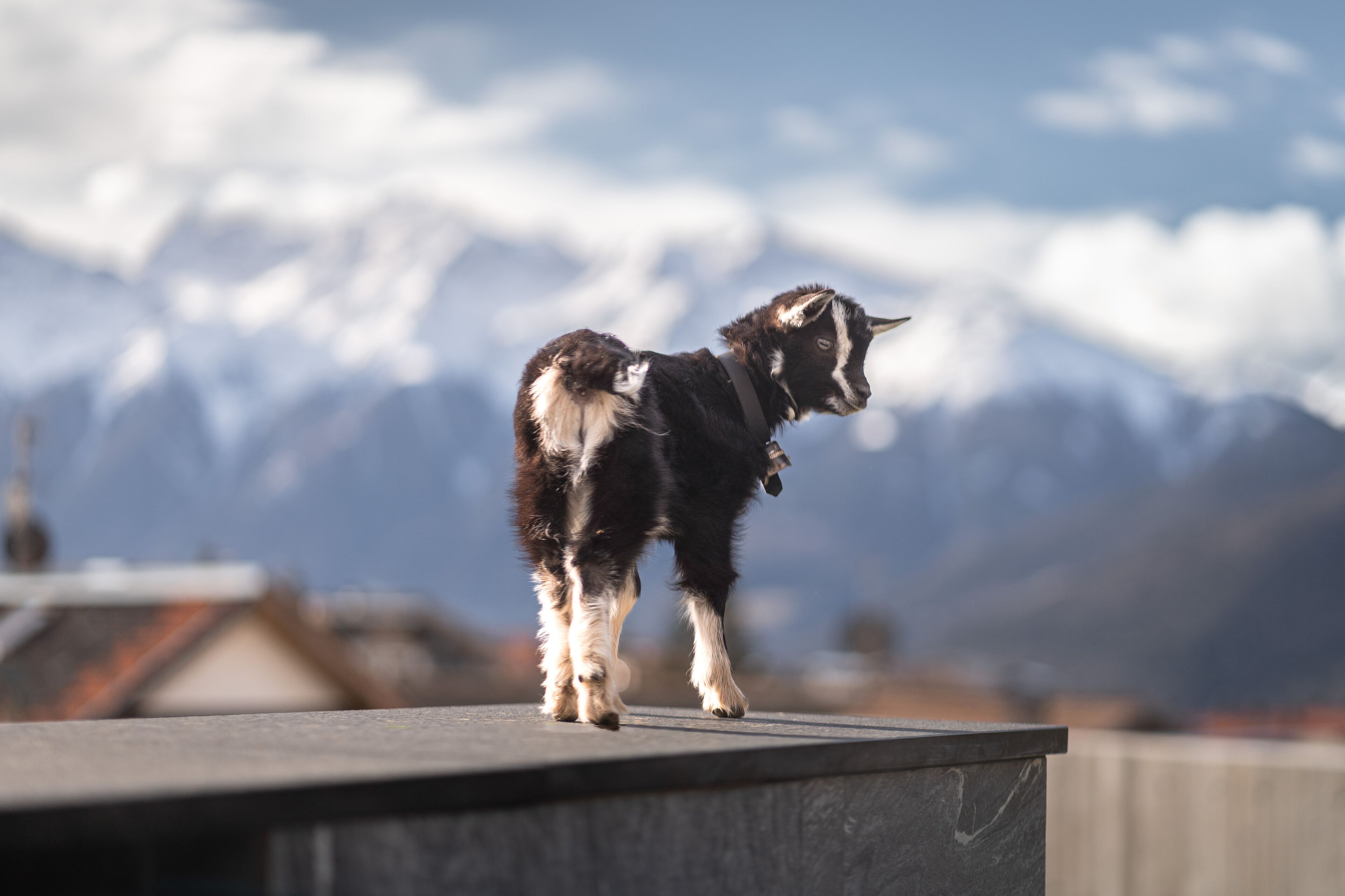 Maraias - Luxury Suites & Apartments