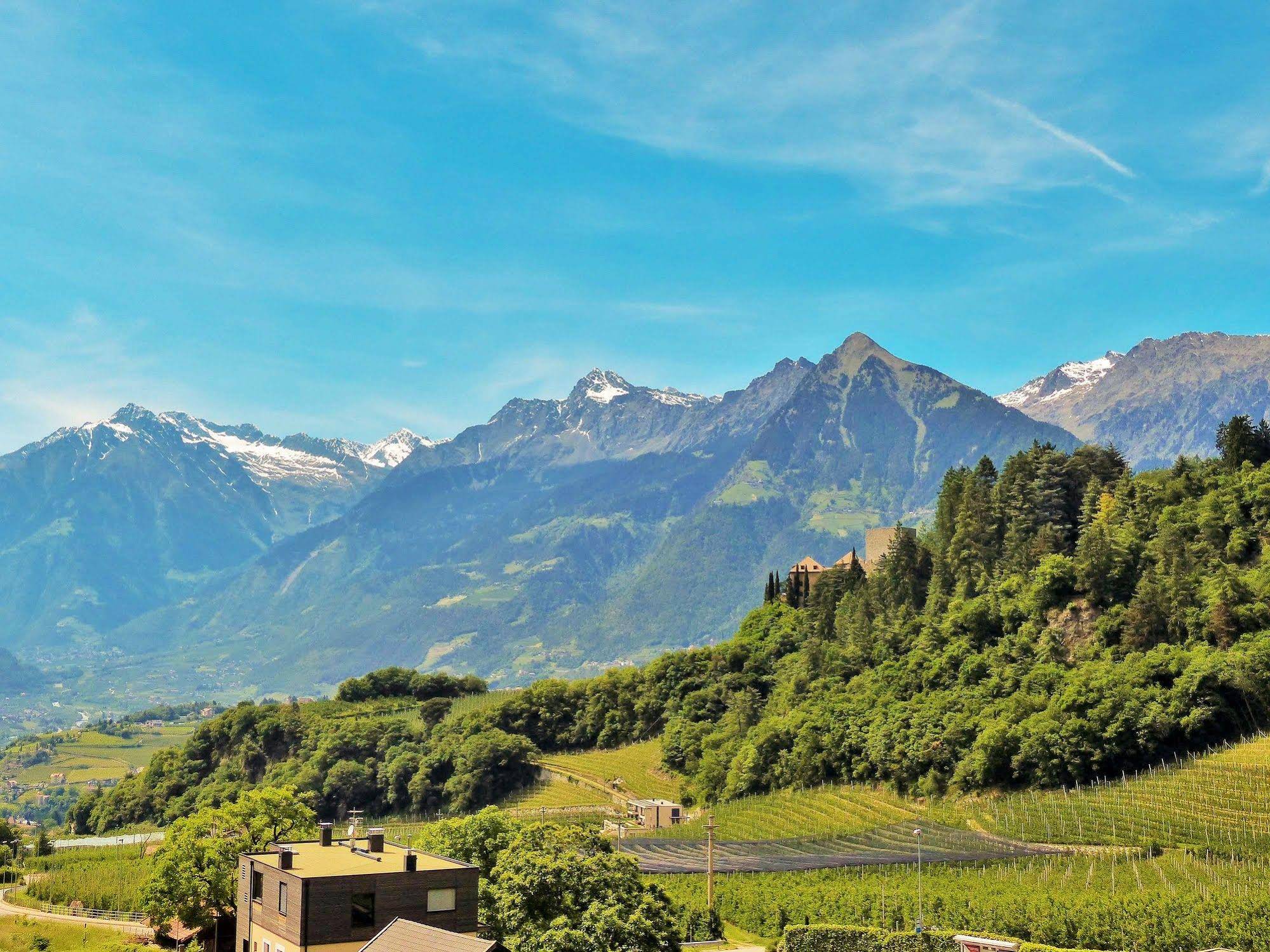 Prinz Rudolf - Stay Smart