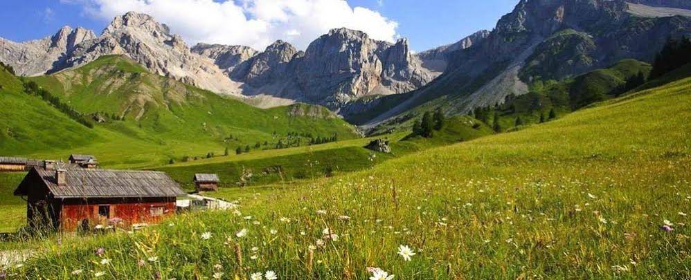 Alpen Color Tonale Hotel