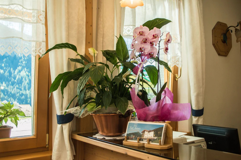 Hotel Garnì Sant'Antonio