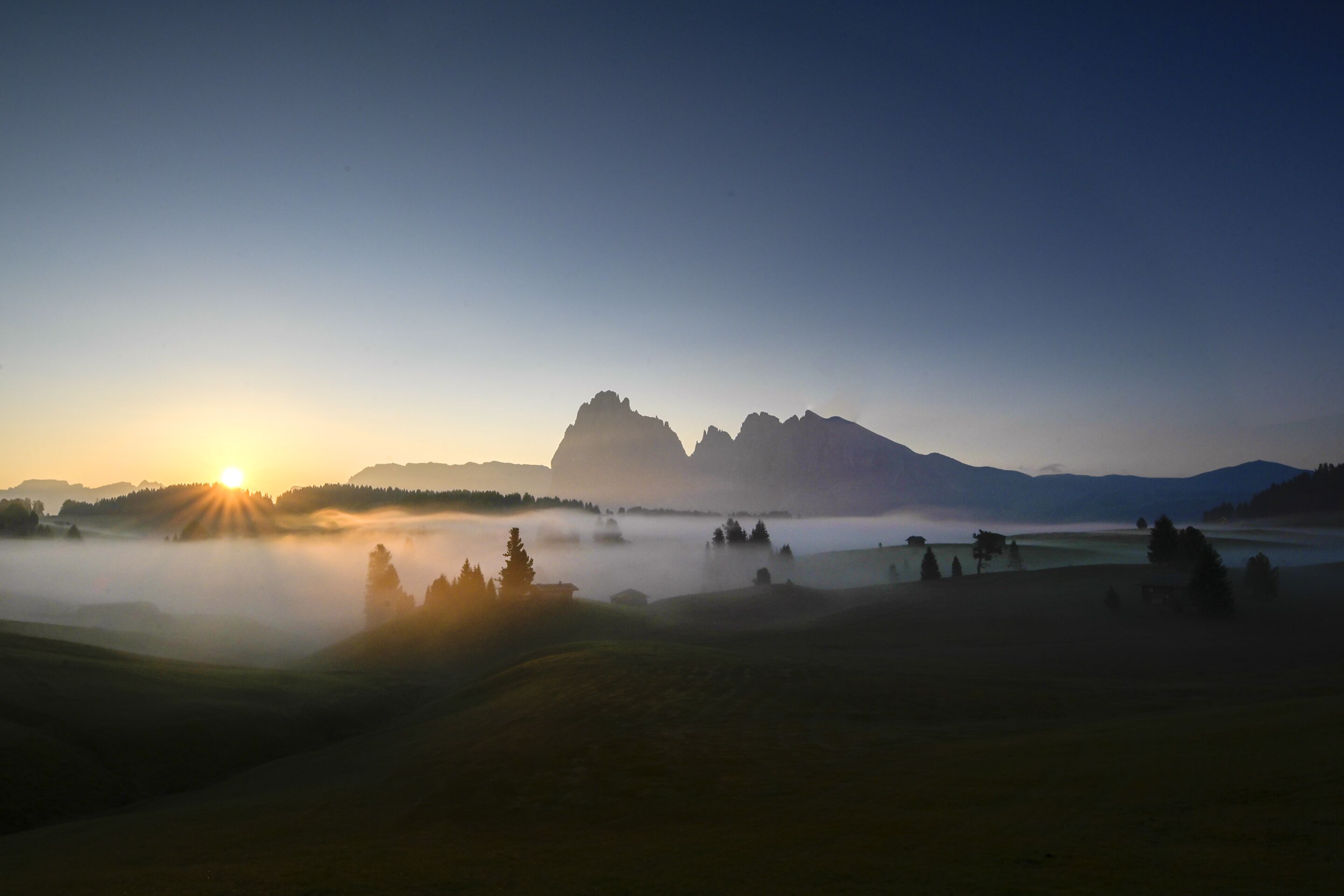 Artnatur Dolomites Hotel & Spa