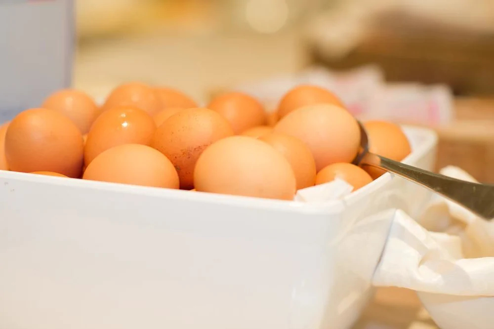 Frühstückspension Gartenheim