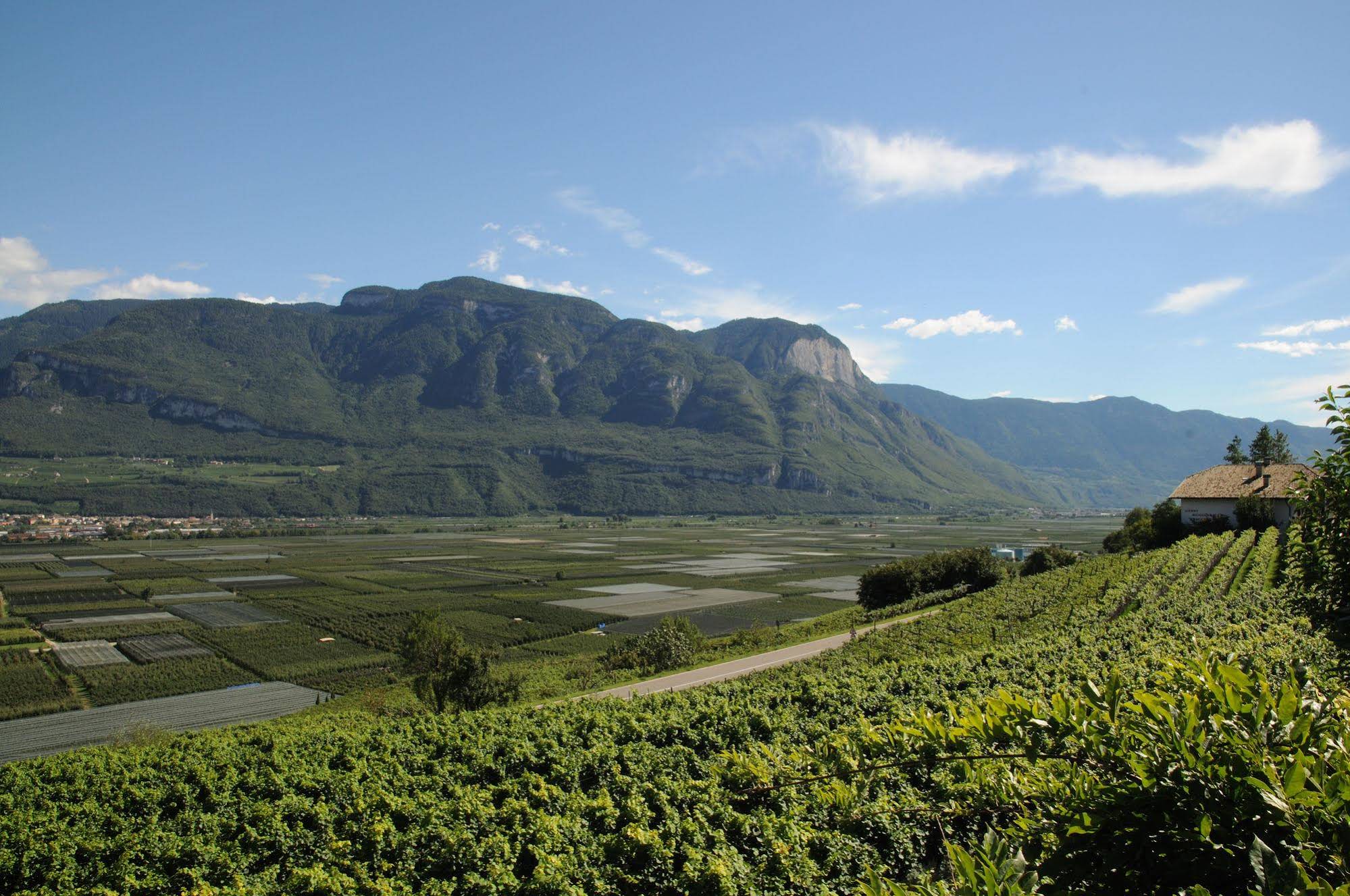 Garni Hotel Ritterhof