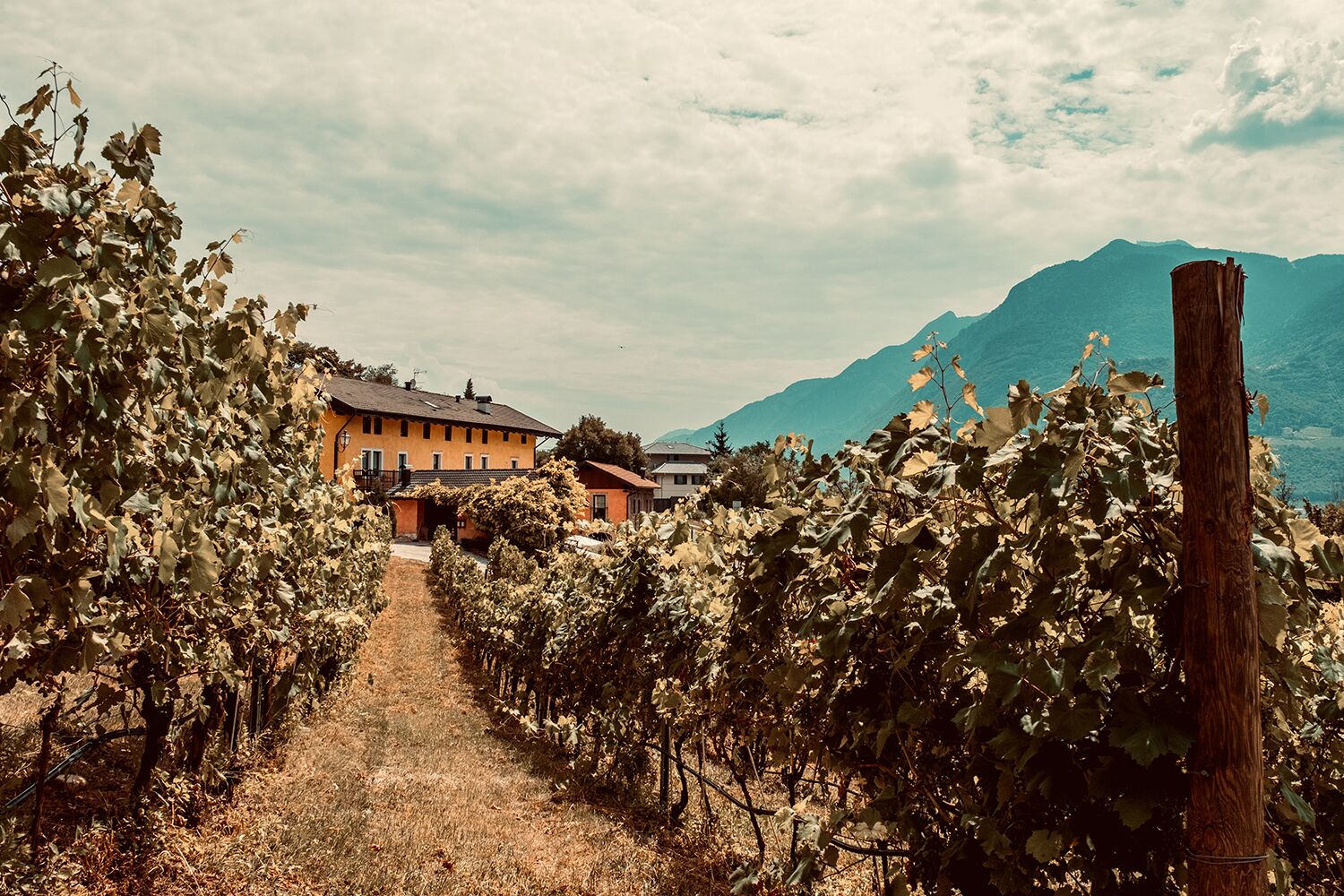 Agritur Mas dei Chini