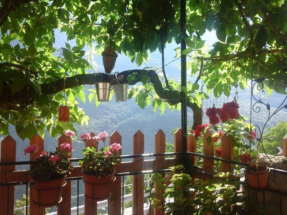 B&B Le Terrazze