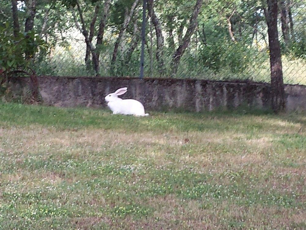 B&B Country House Poggio Del Drago