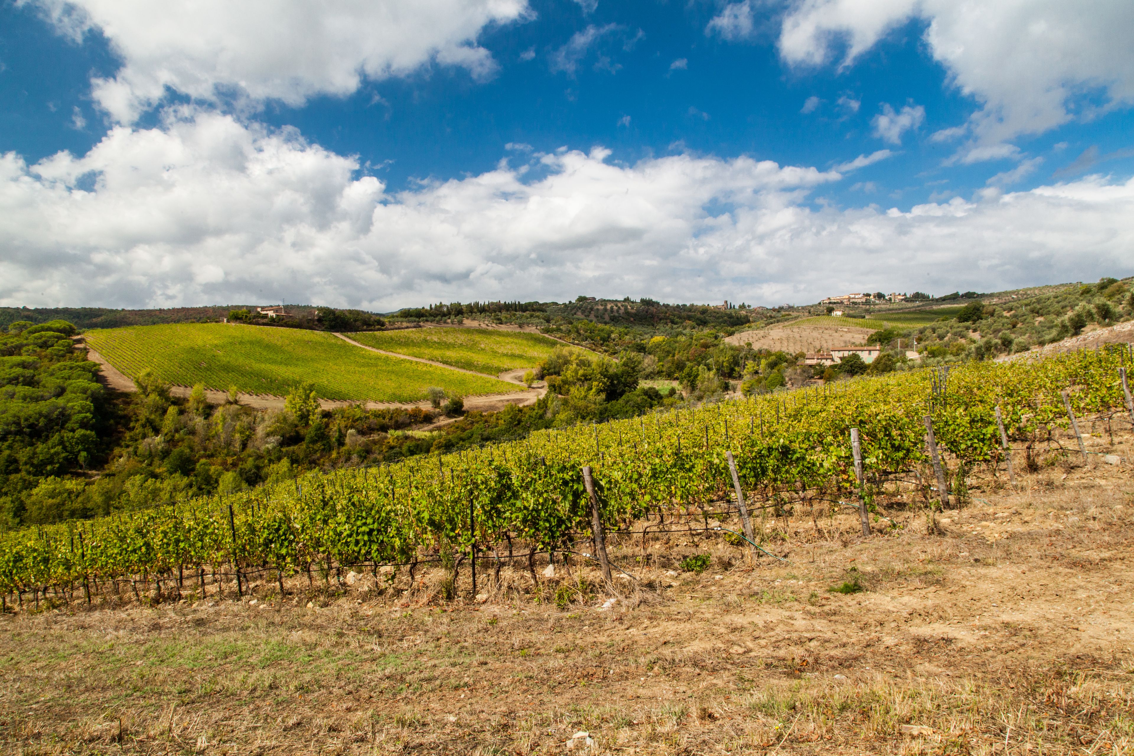 Tenuta di Artimino - Hotel Paggeria Medicea