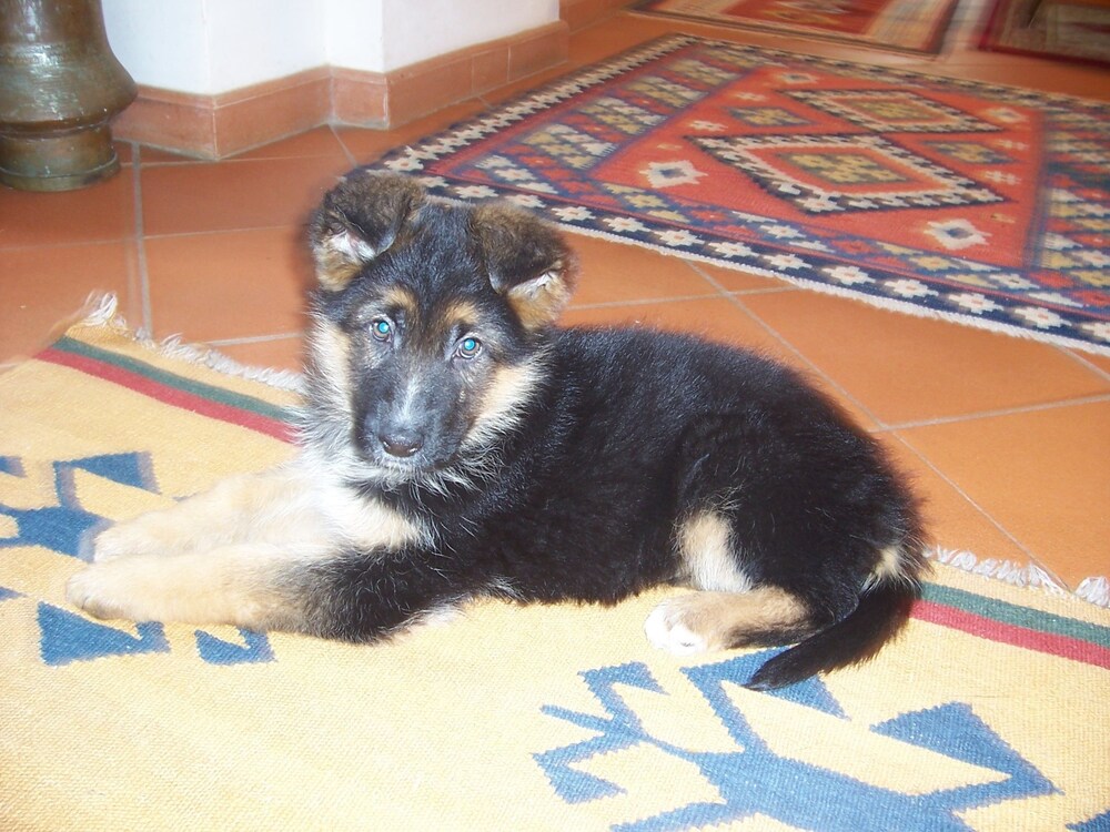 Agriturismo Paradiso