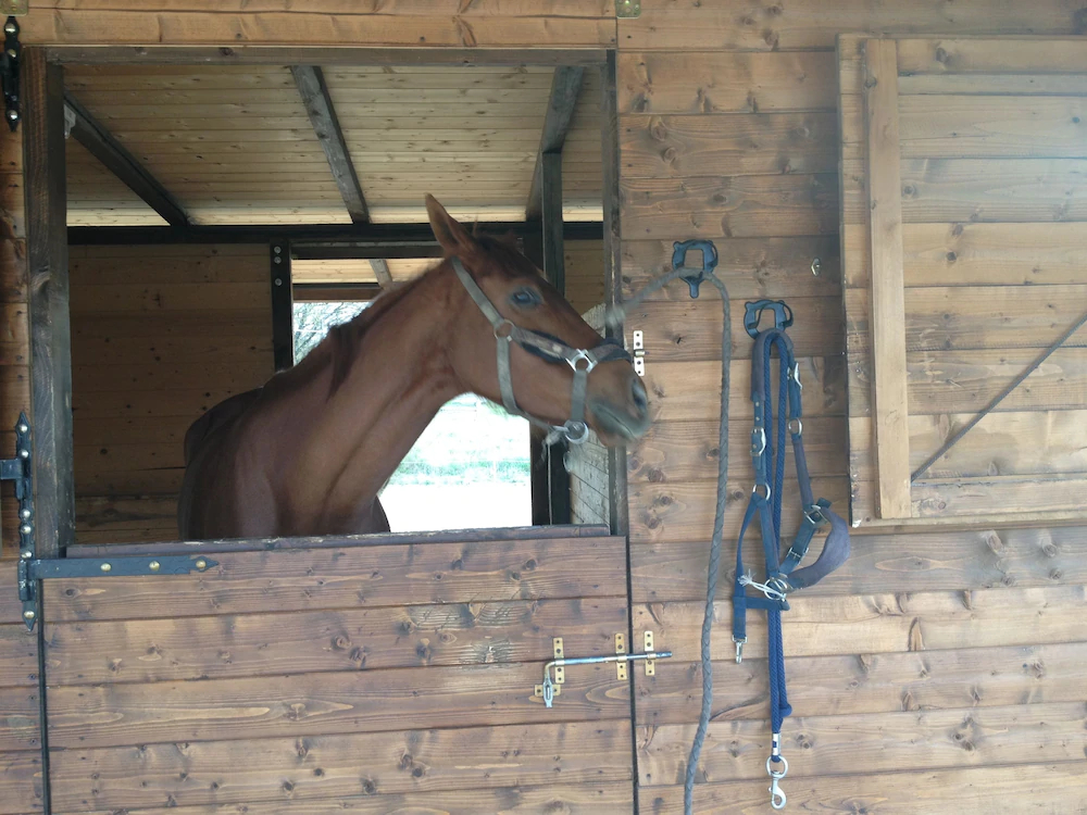 Agriturismo Paradiso