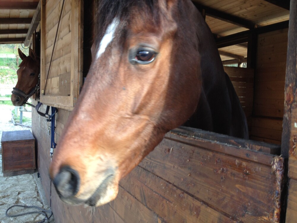 Agriturismo Paradiso