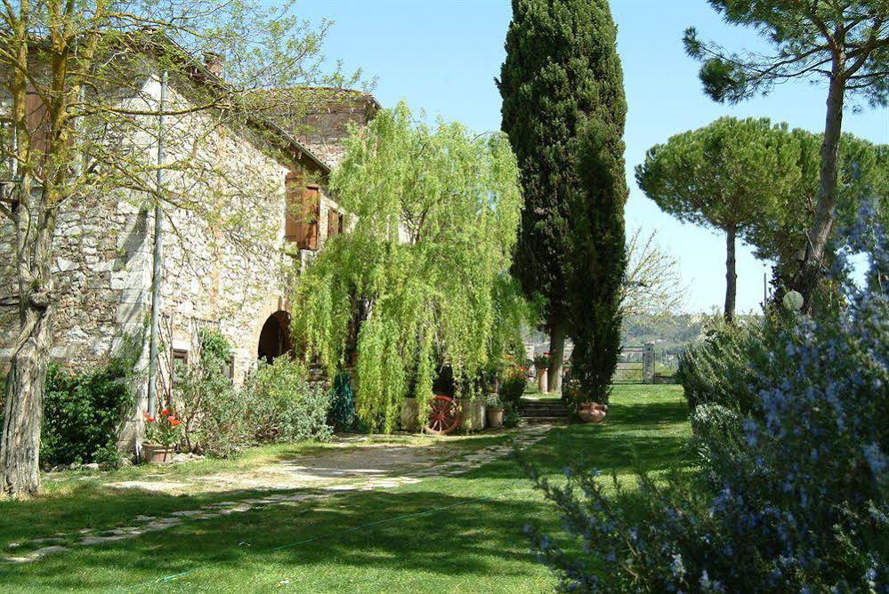 Azienda Agricola Il Molinello