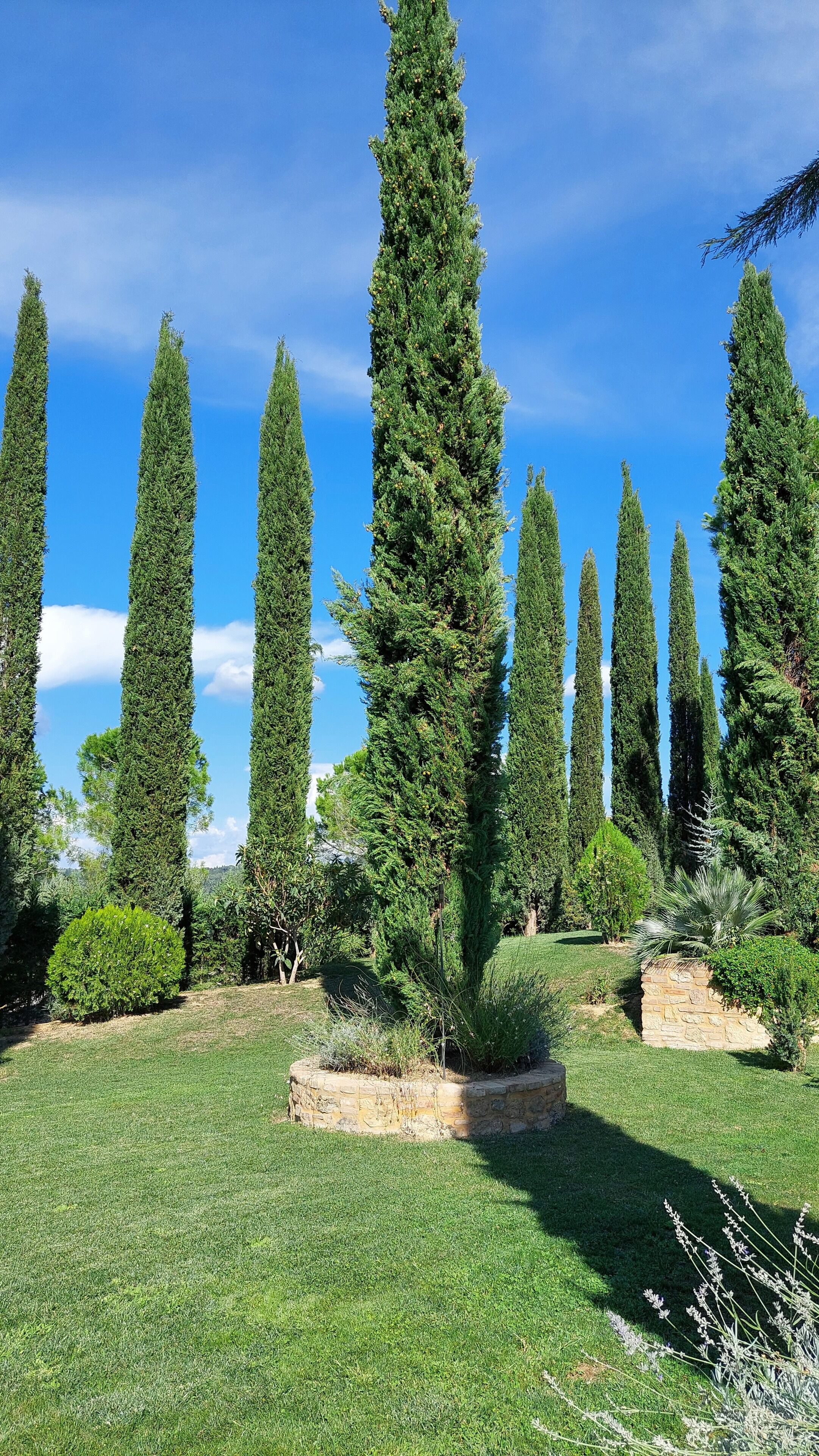 Tenuta Tegolato