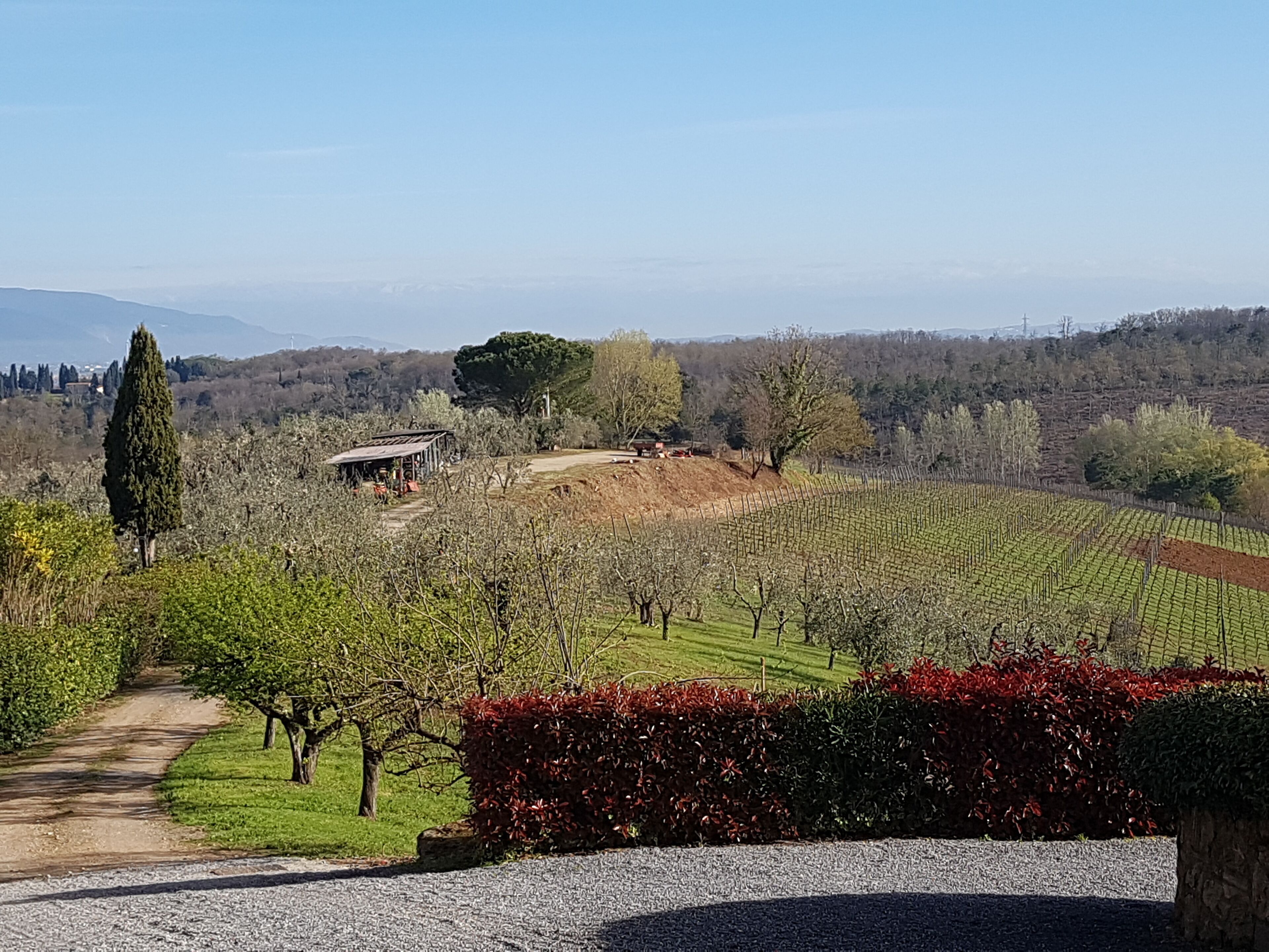 Villa Delia Hotel & Cooking School