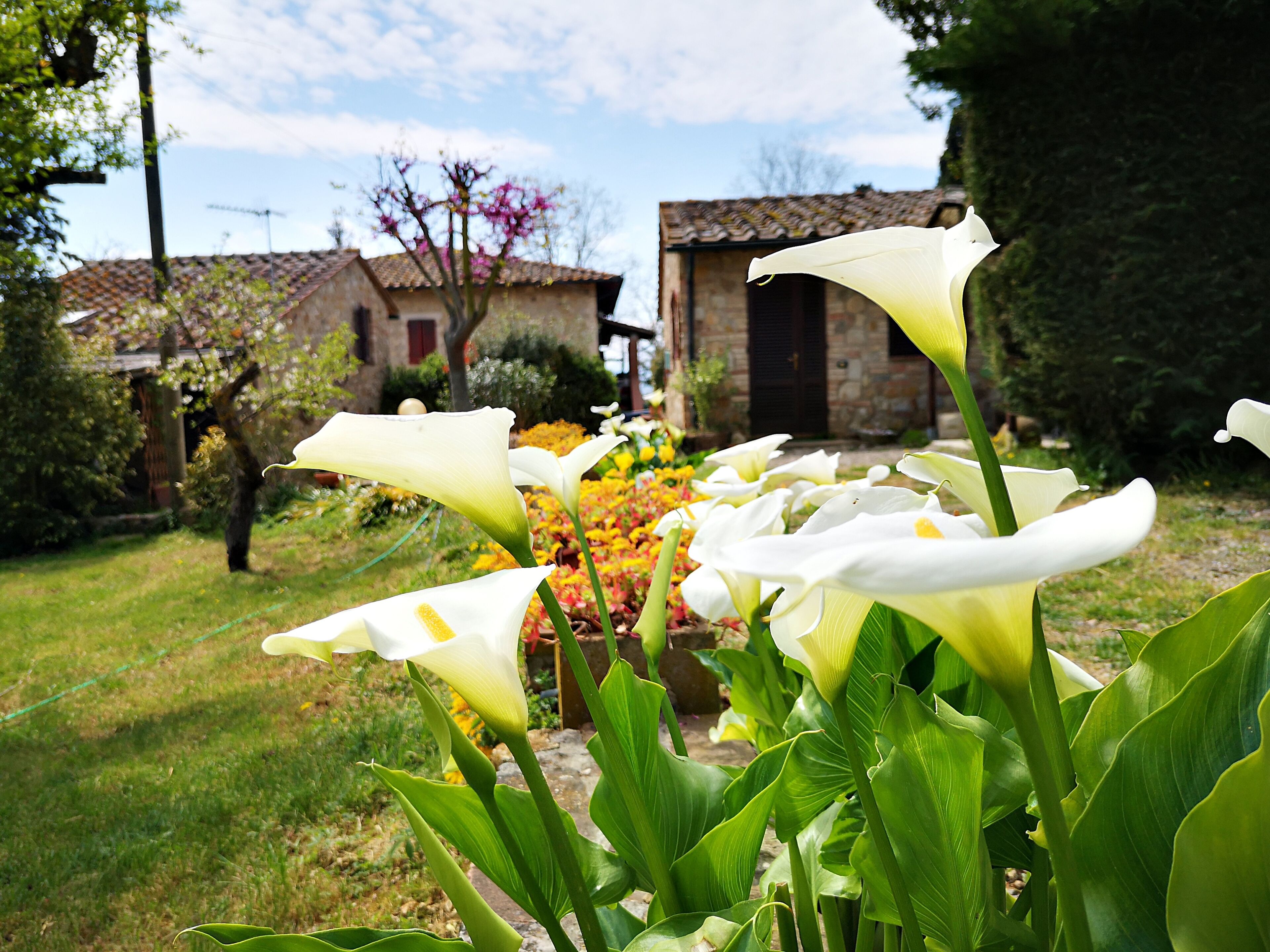 Agriturismo Grecinella