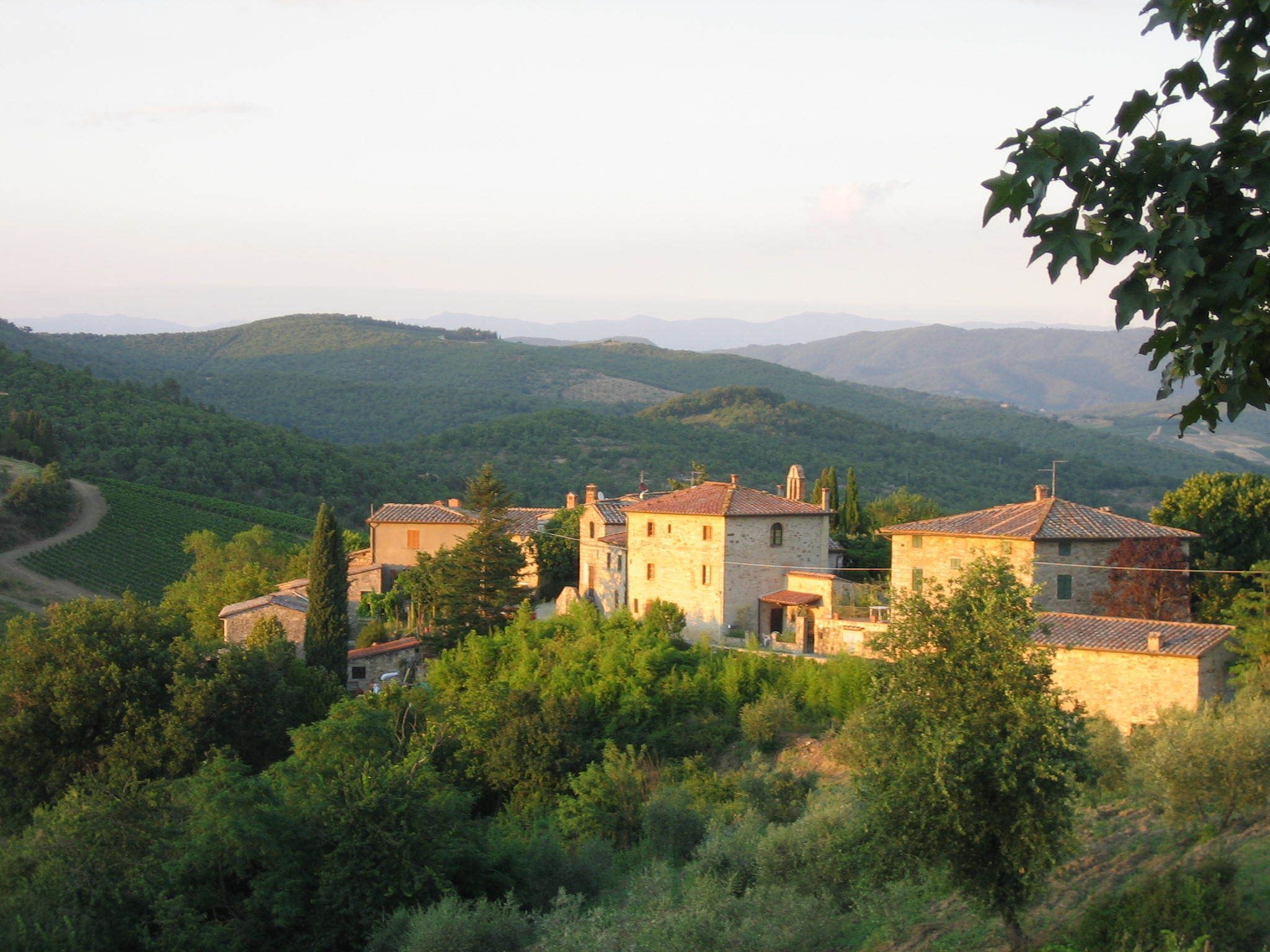 Fattoria Tregole