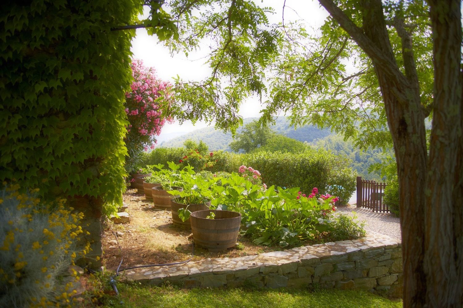Fattoria Tregole