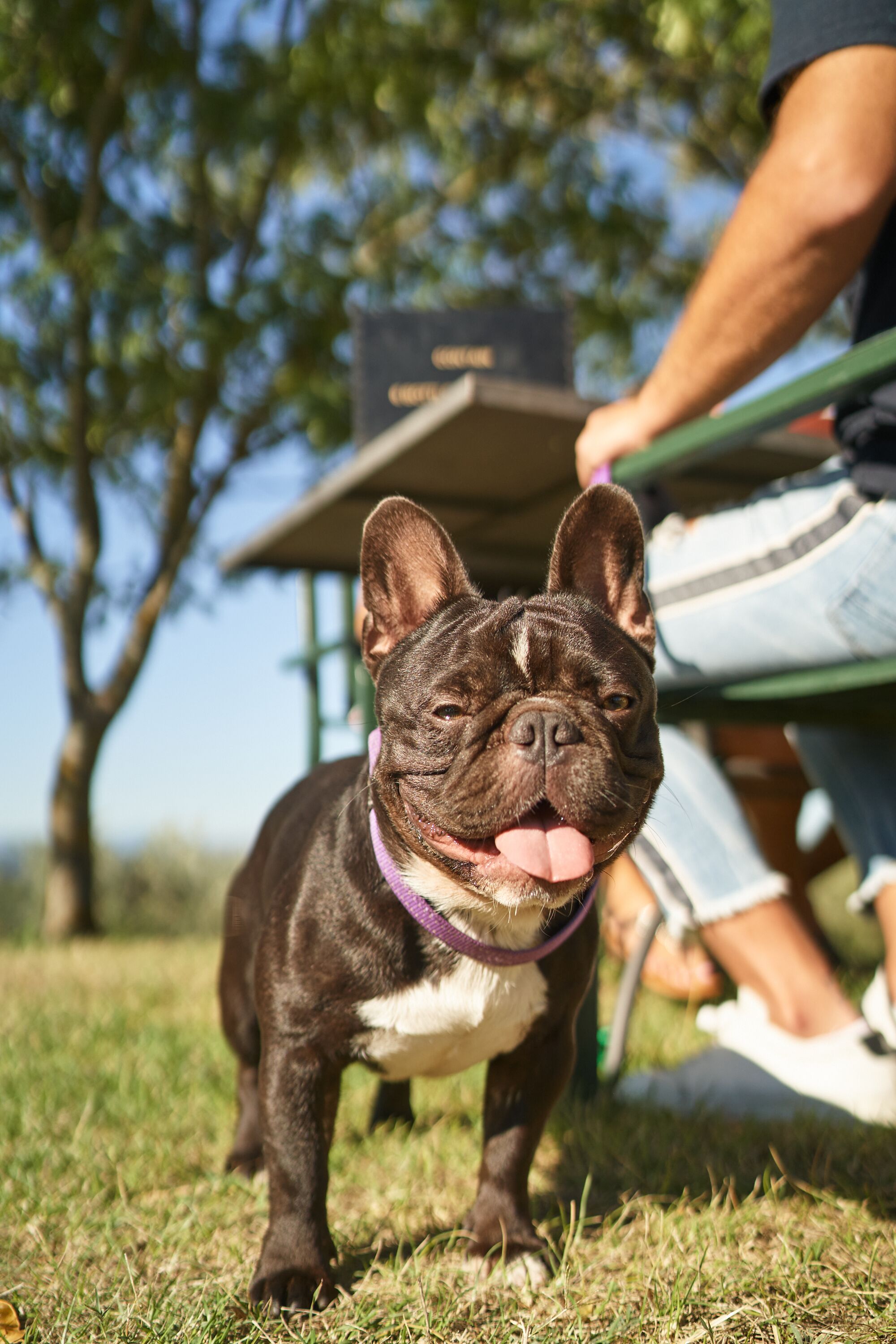 Bossi Di Sopra (Castello Di Bossi)