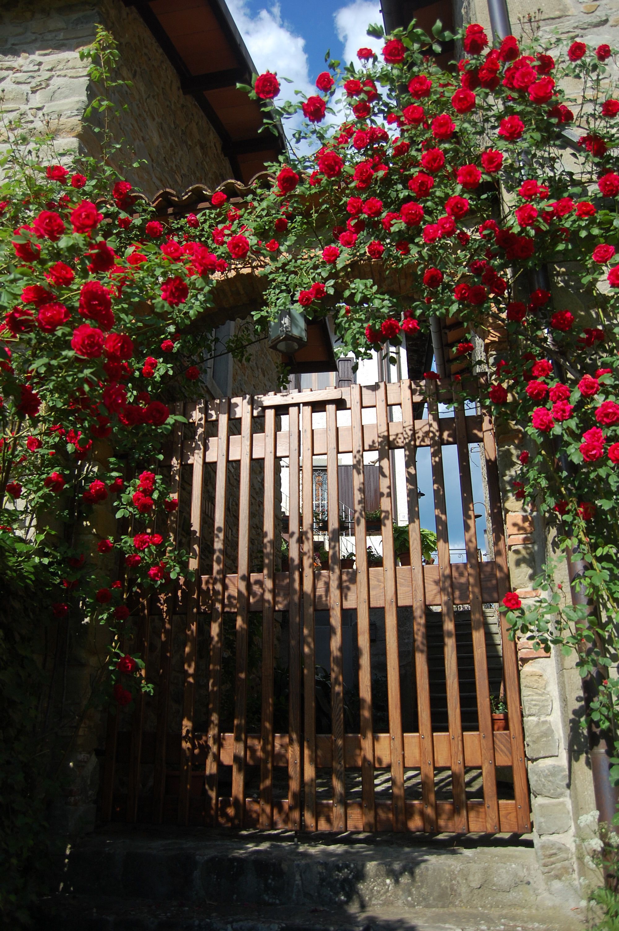 Villa Il Nido