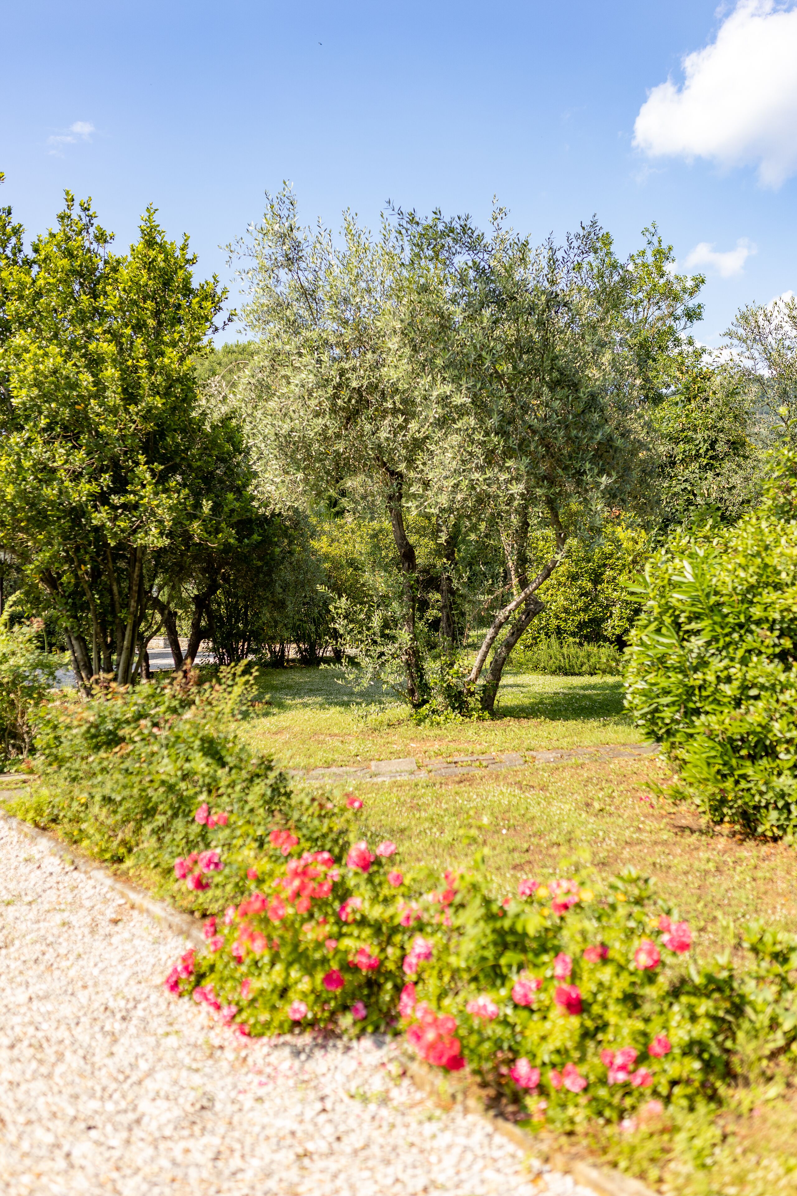 Agriturismo La Pievuccia