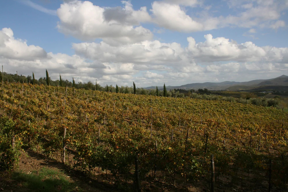 Agriturismo La Chiusa