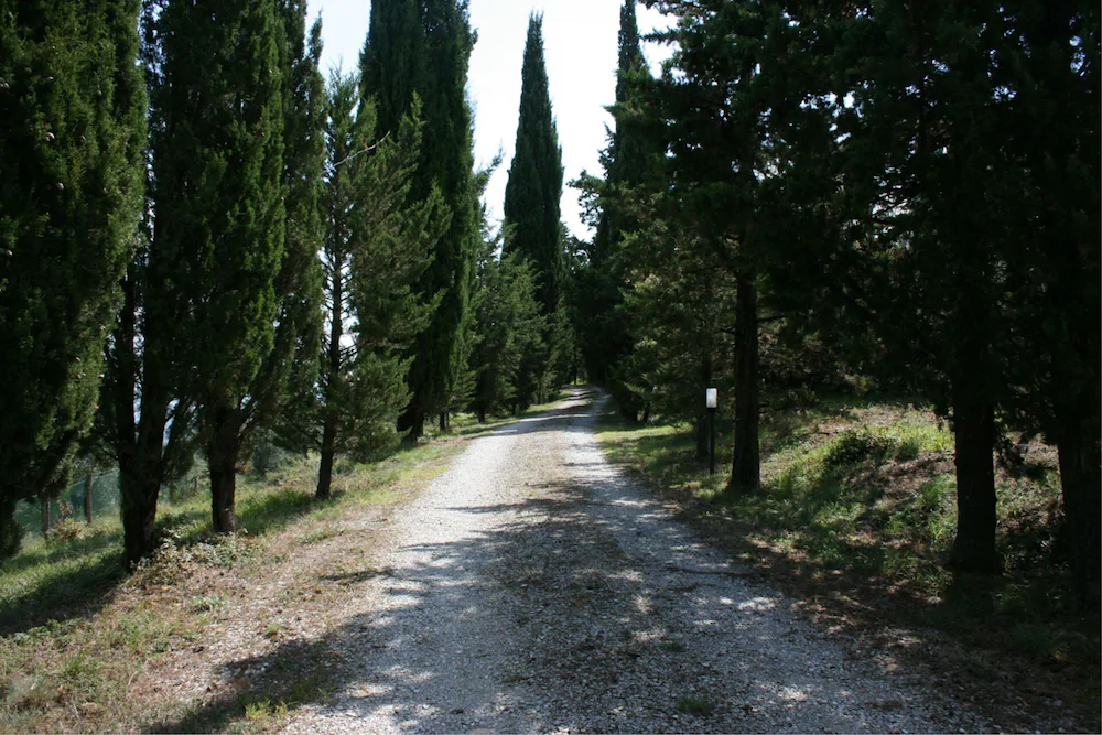 Podere Della Crocchia