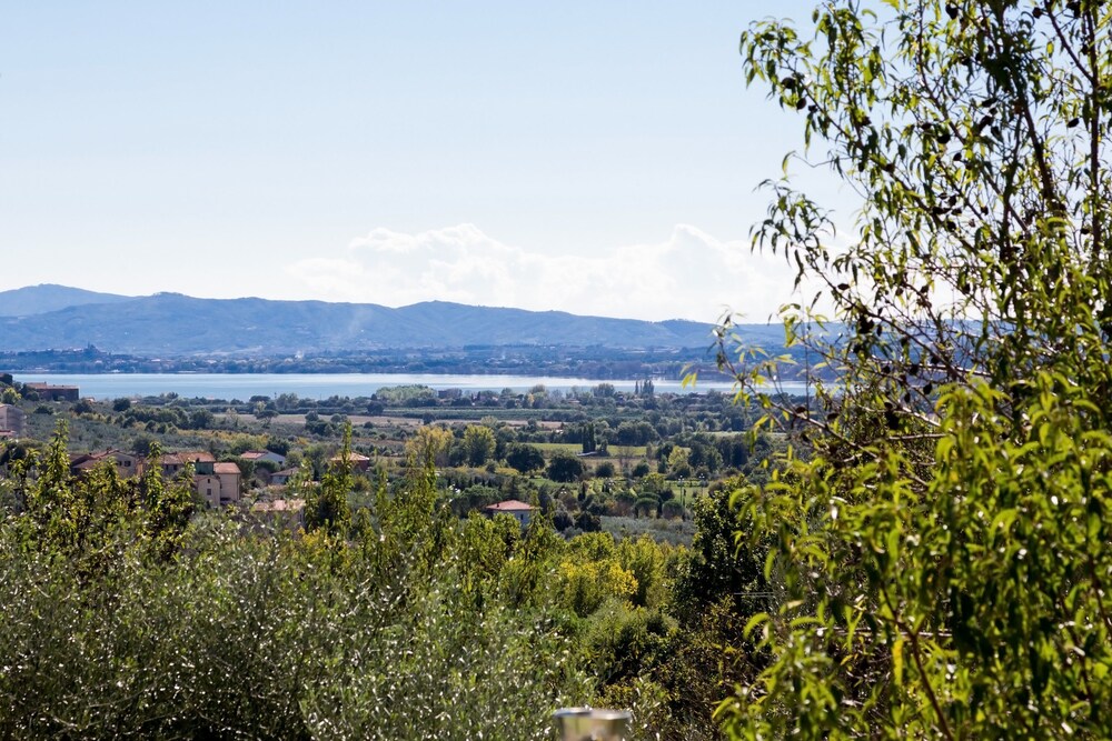 Poggio Oliveto