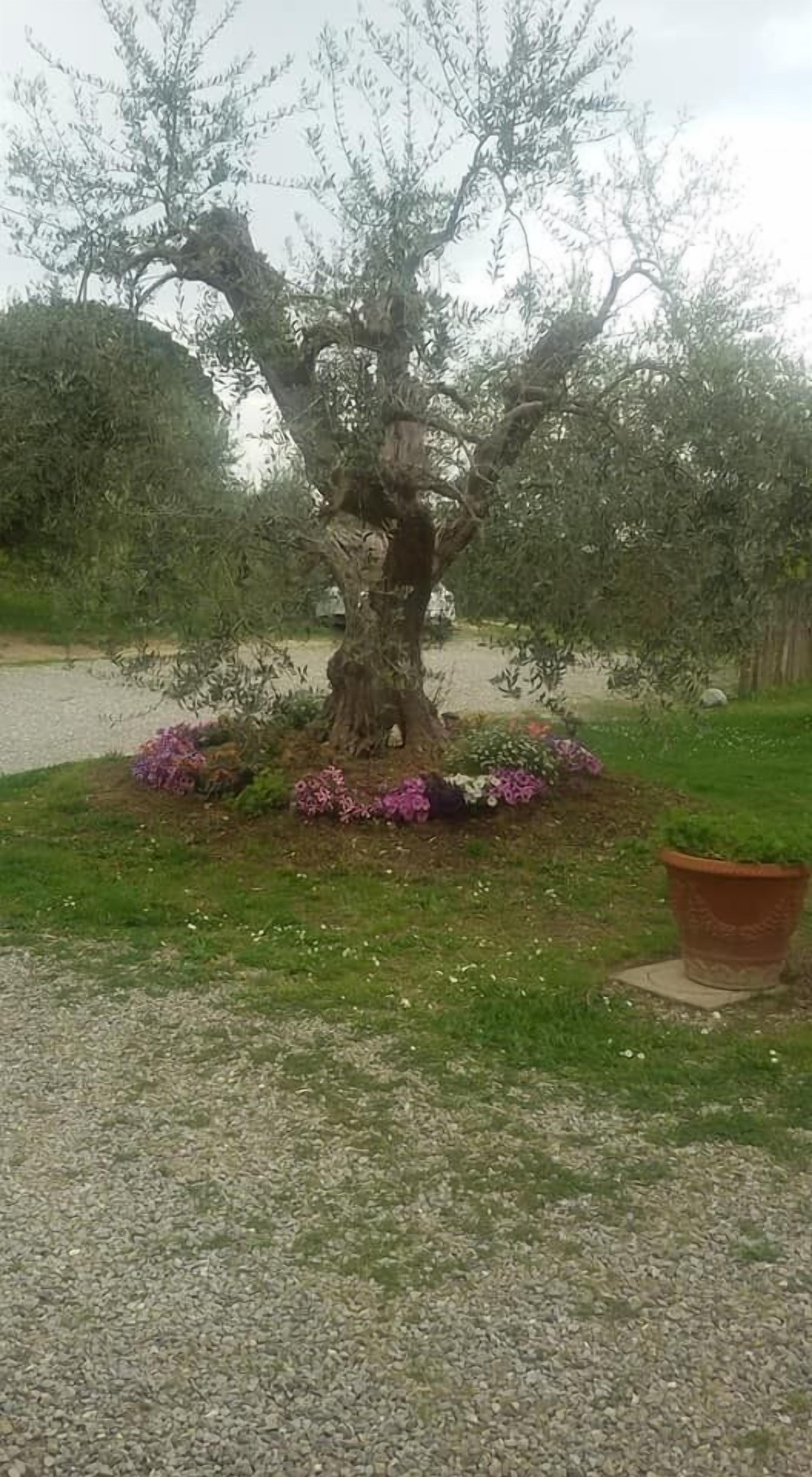 Agriturismo L'isola