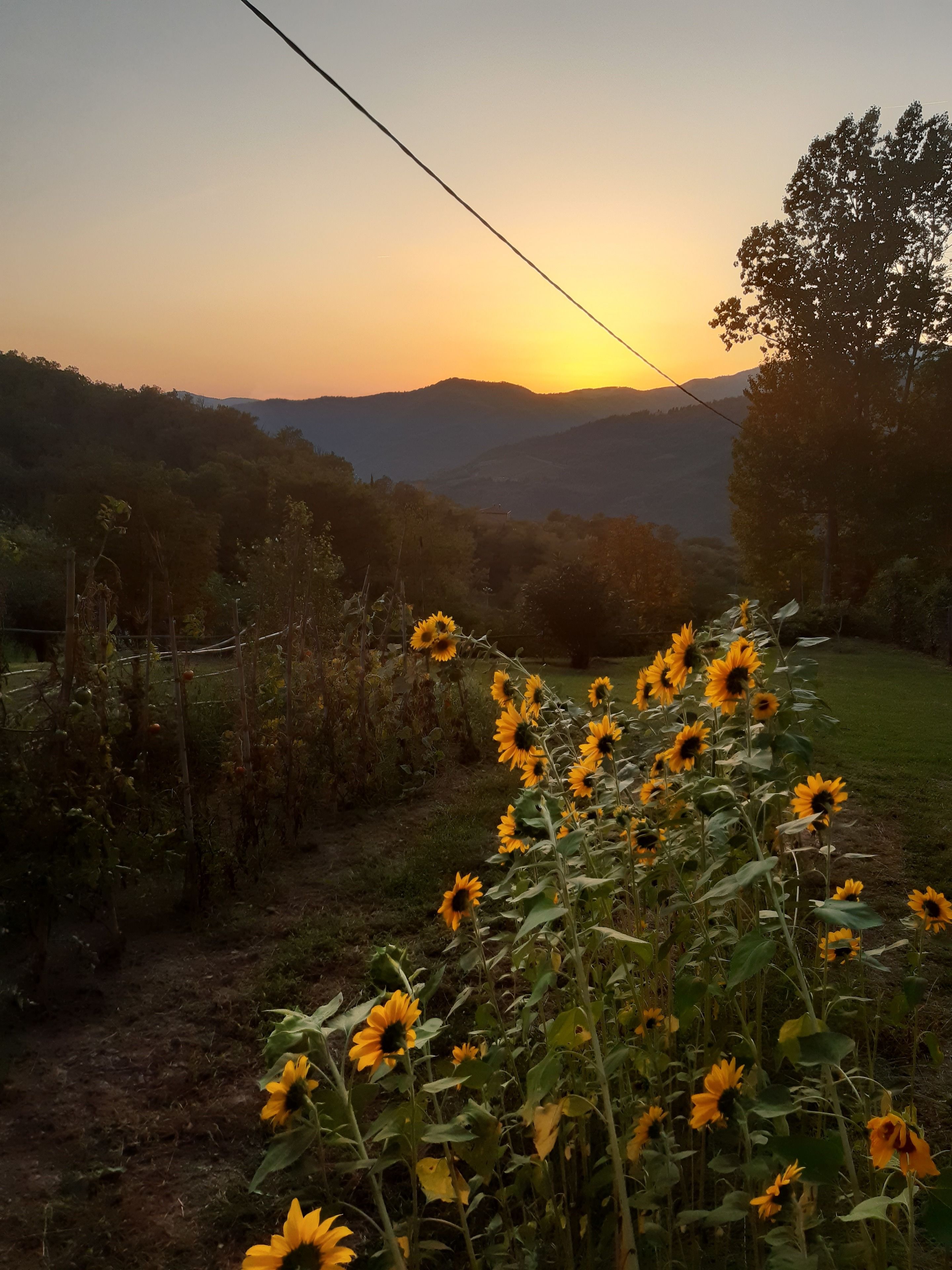 Country Residence Turicchi