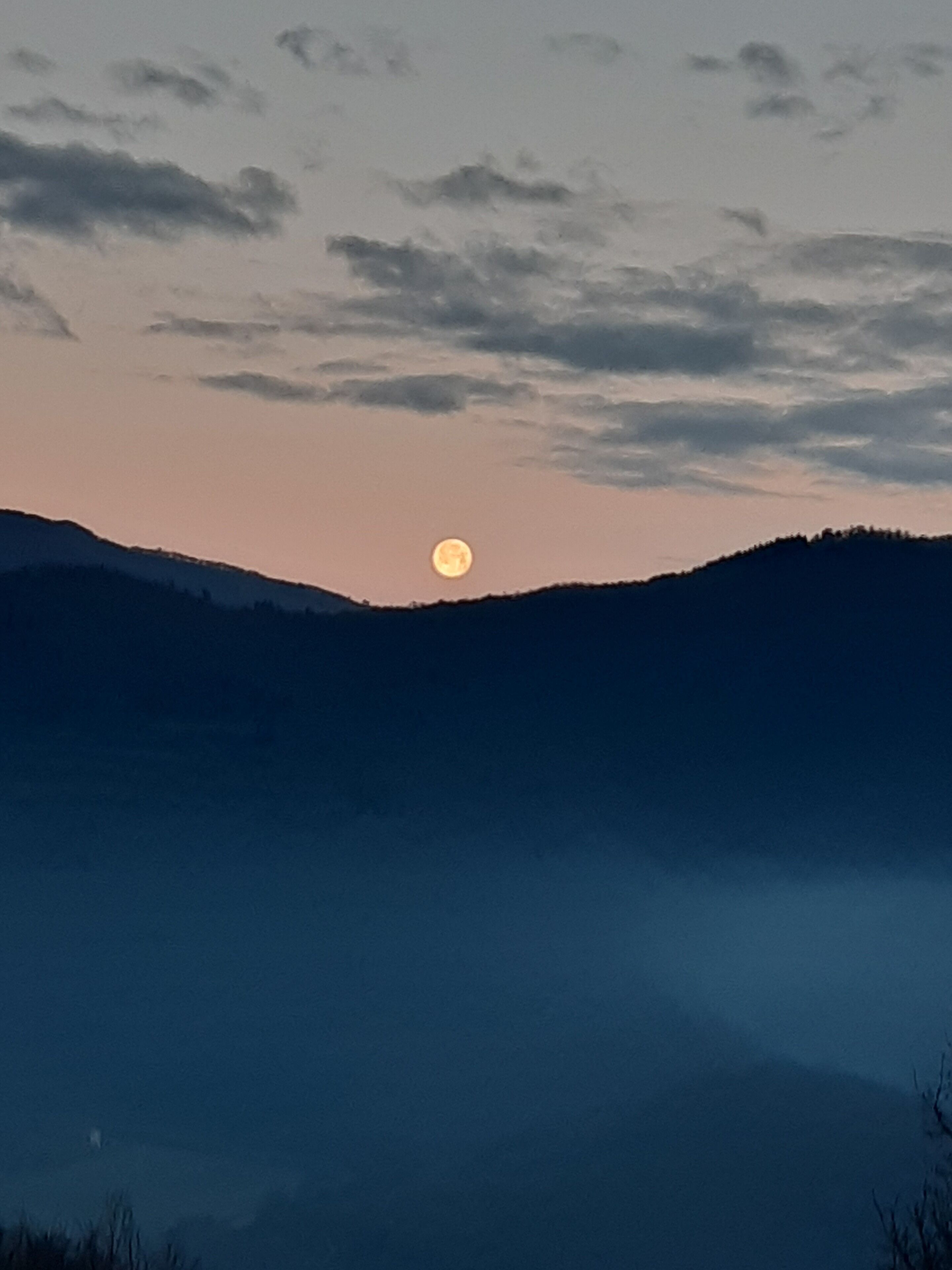 Country Residence Turicchi
