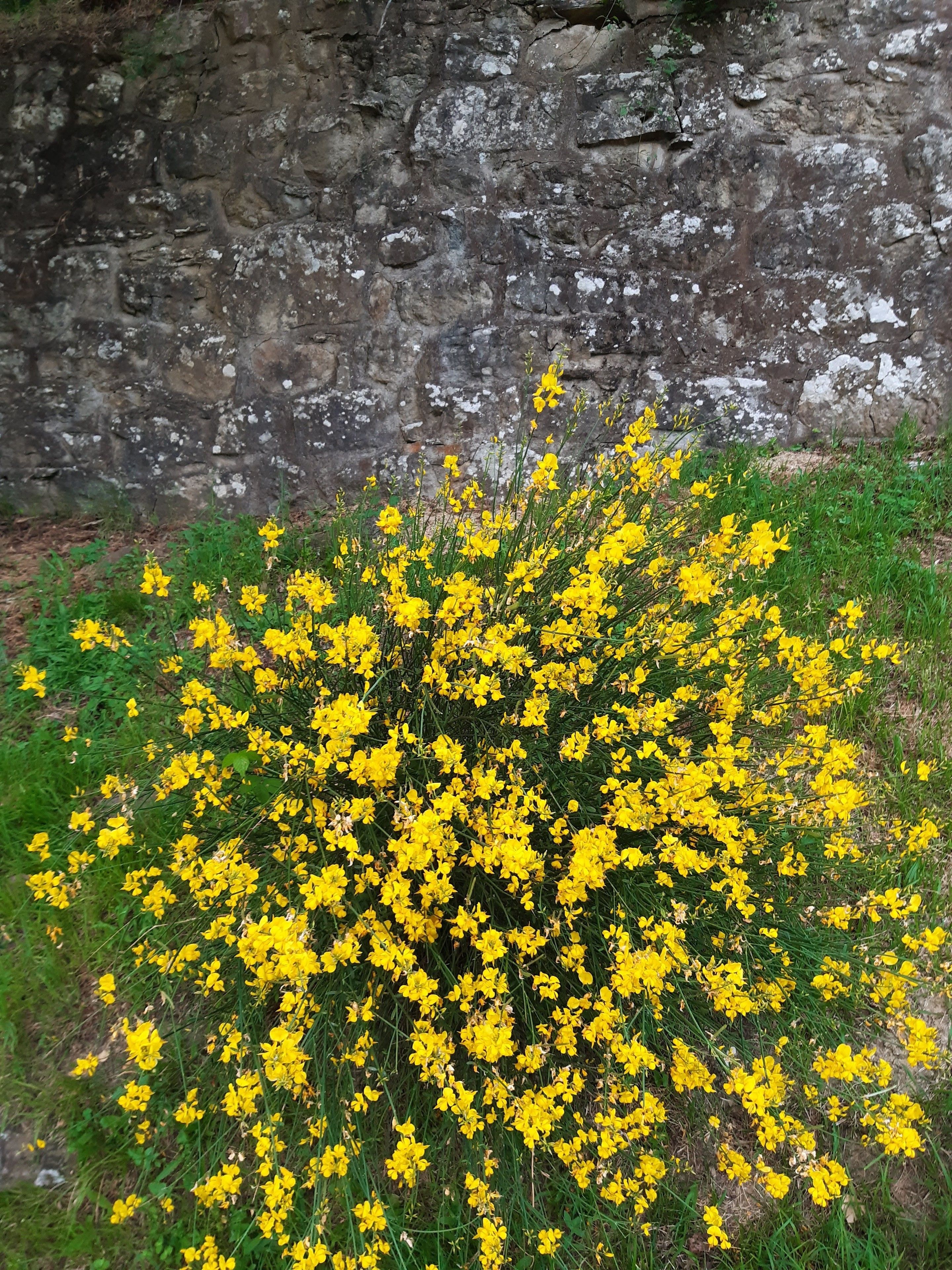 Country Residence Turicchi