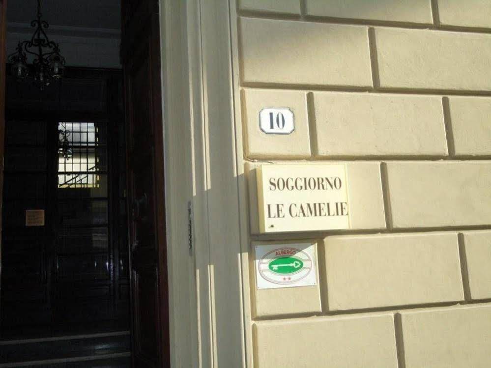 Delle Camelie