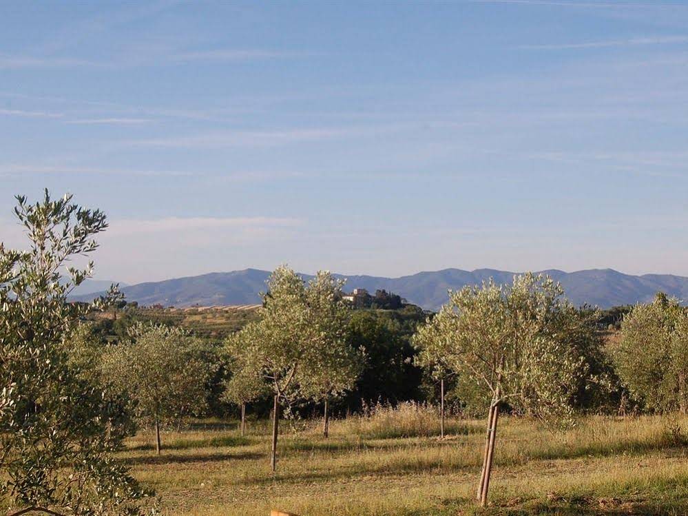 La Spiga d'Or