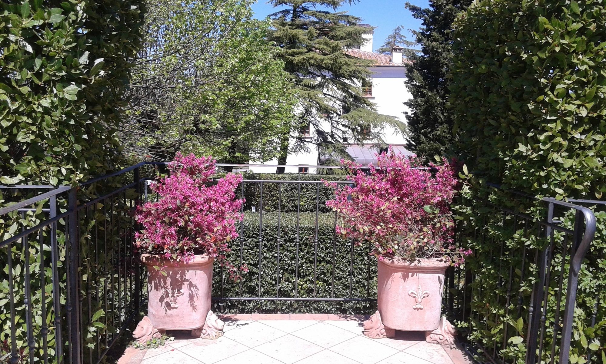 Villa Bianca