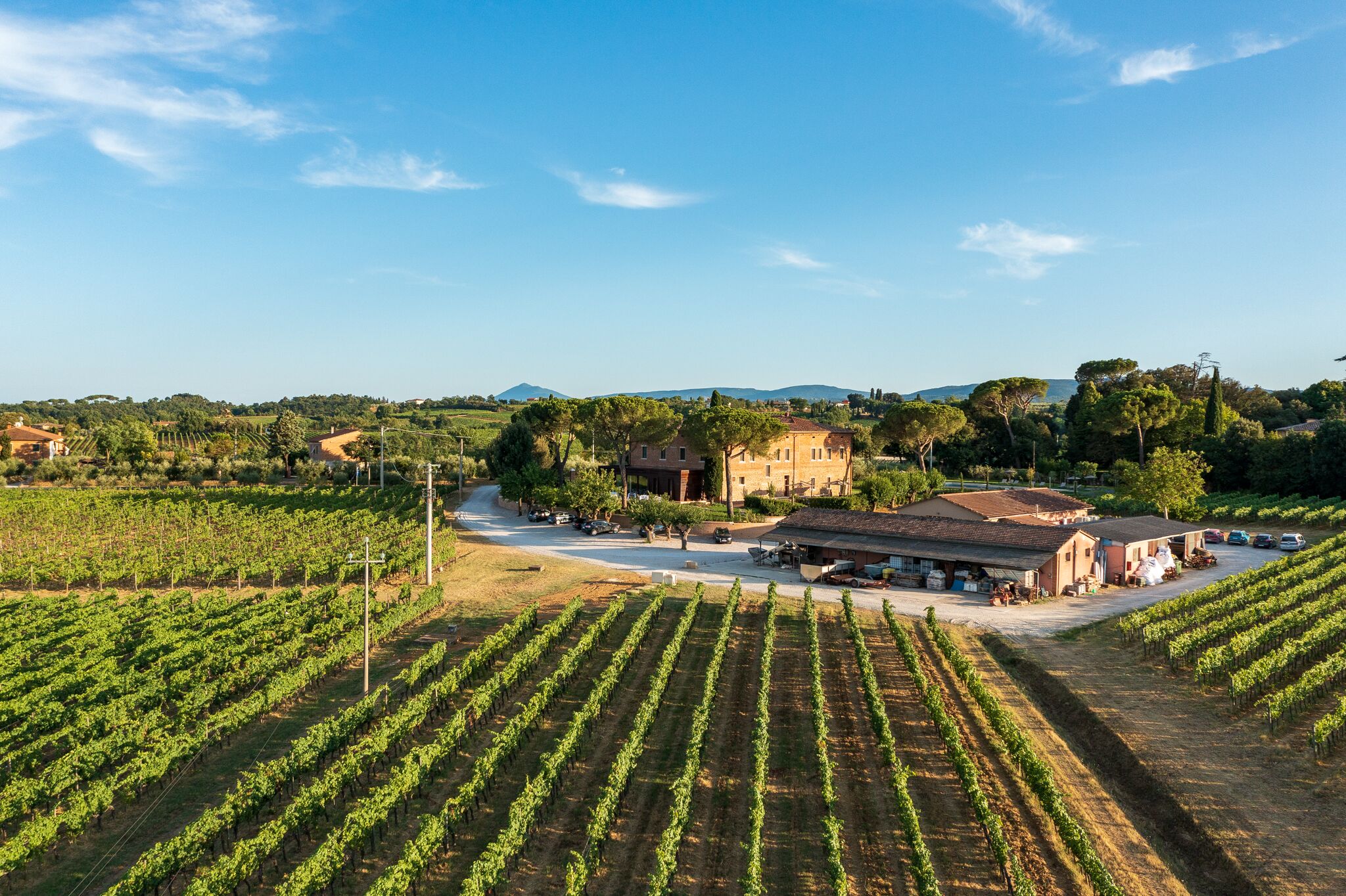 Villa Svetoni Wine Resort