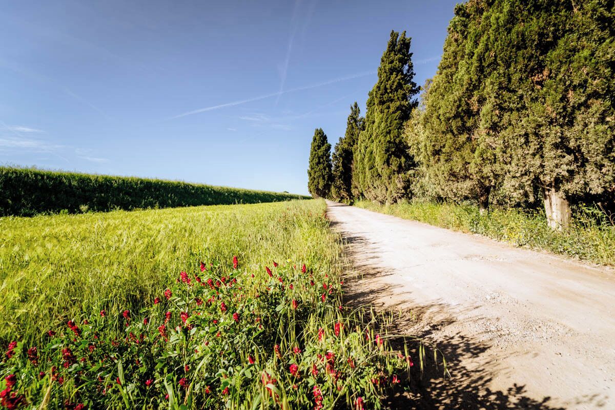 Agriturismo San Mamiliano