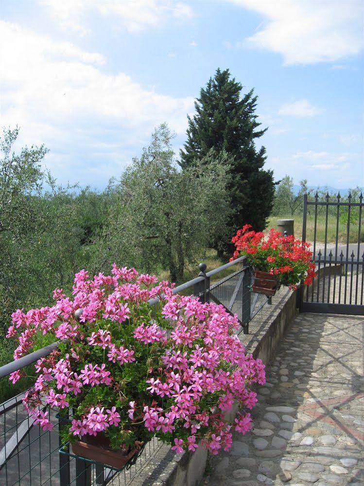 Agriturismo Nesti And Cupoli