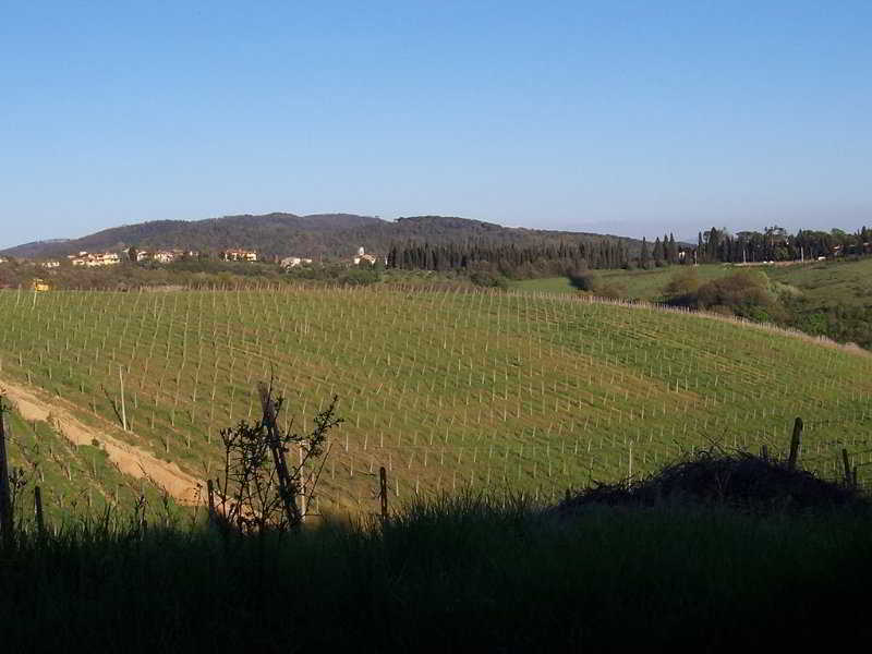 Villa Saulina Resort Hotel