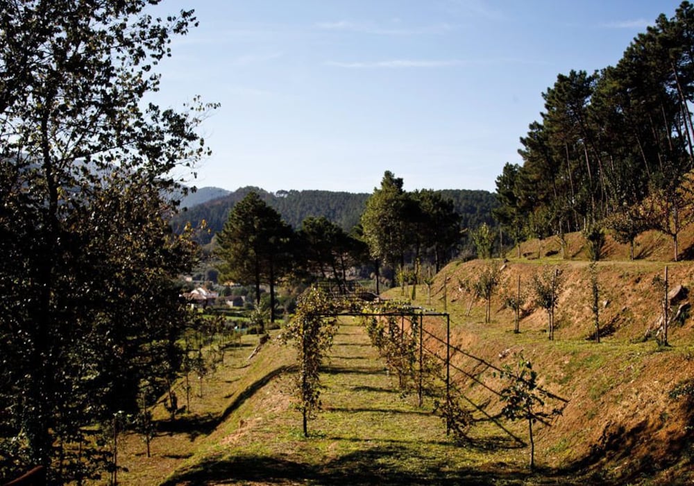 Tenuta Setteventi
