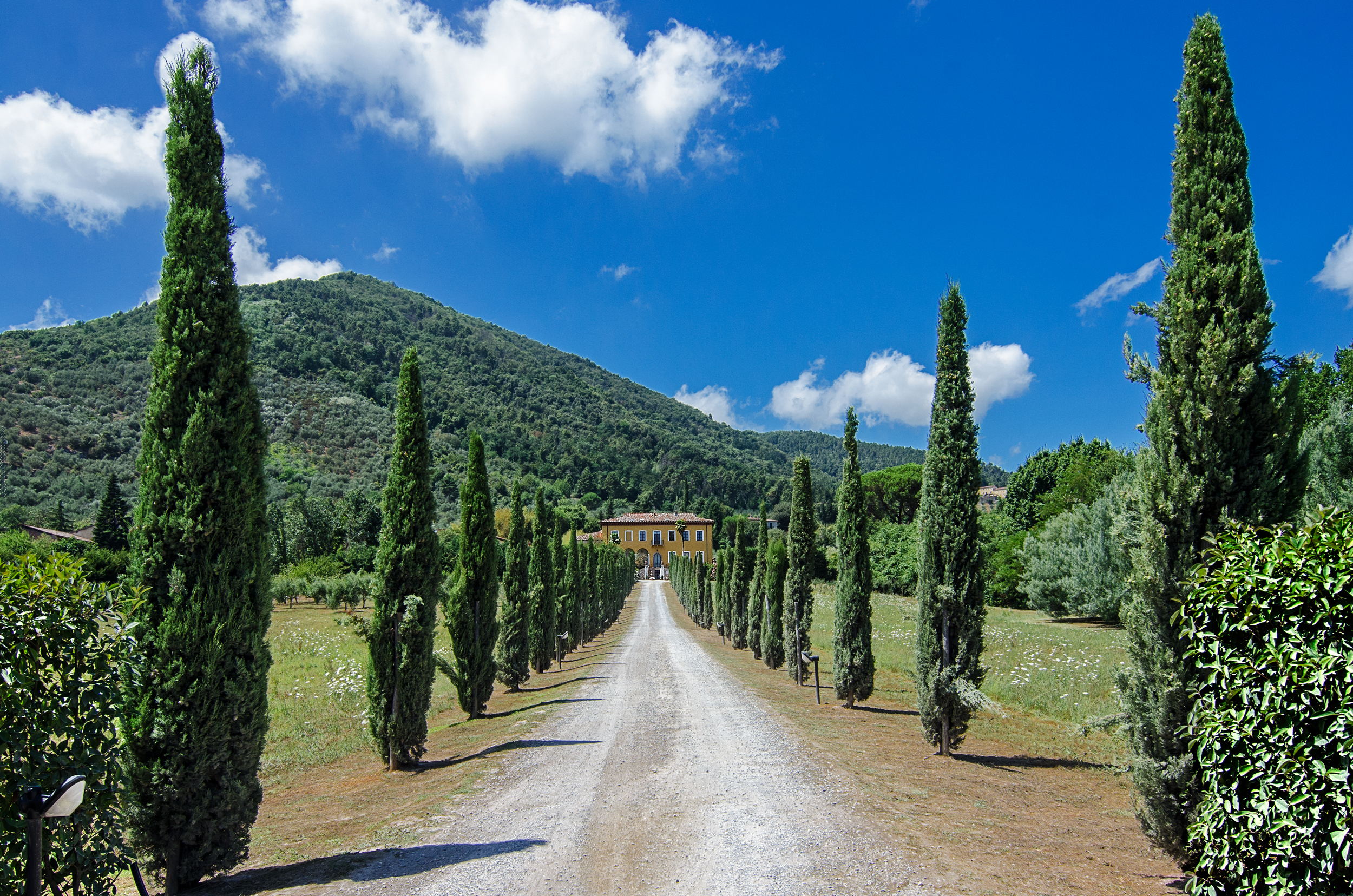 Villa Cheli