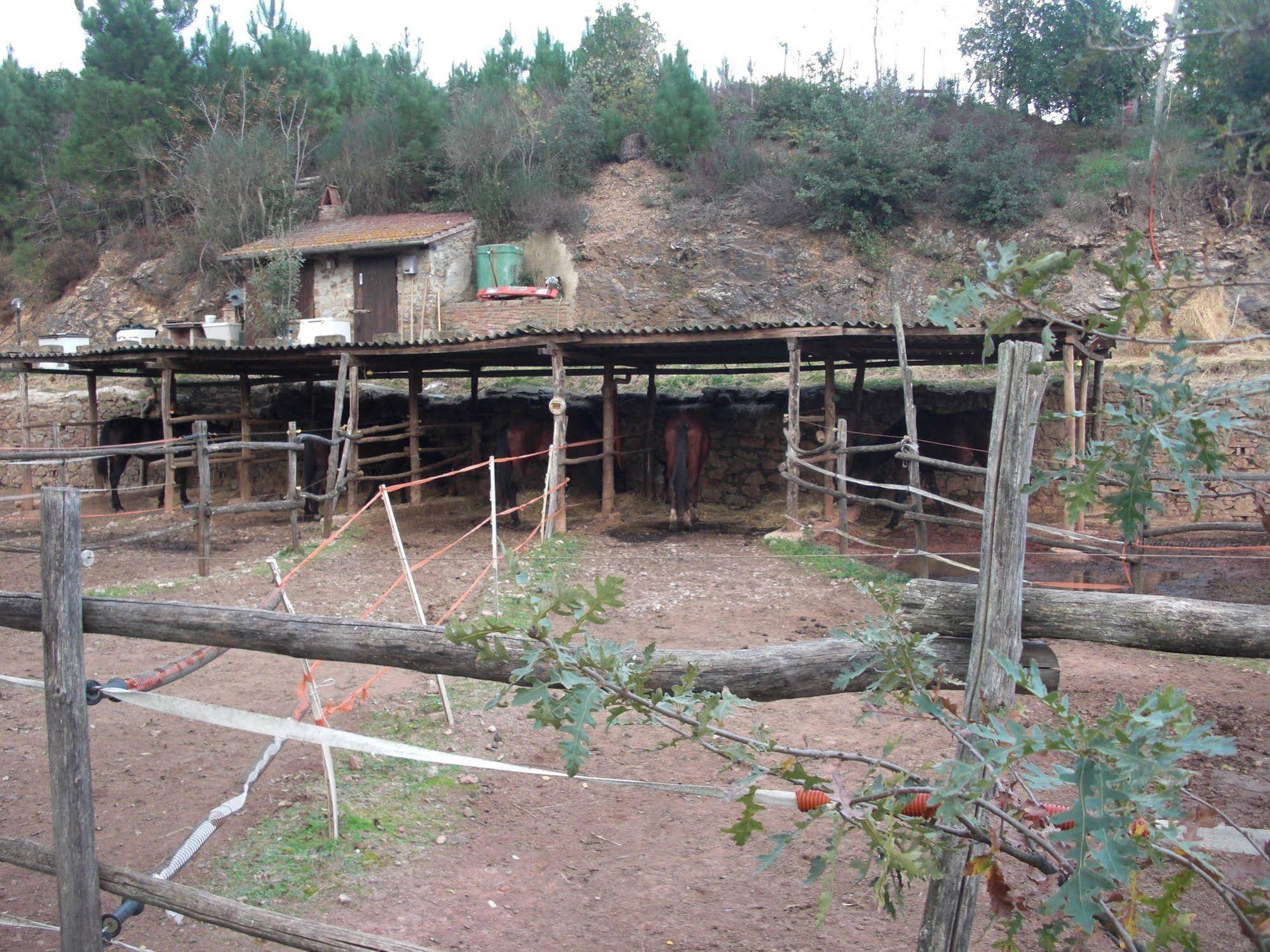 La Locanda del Minatore