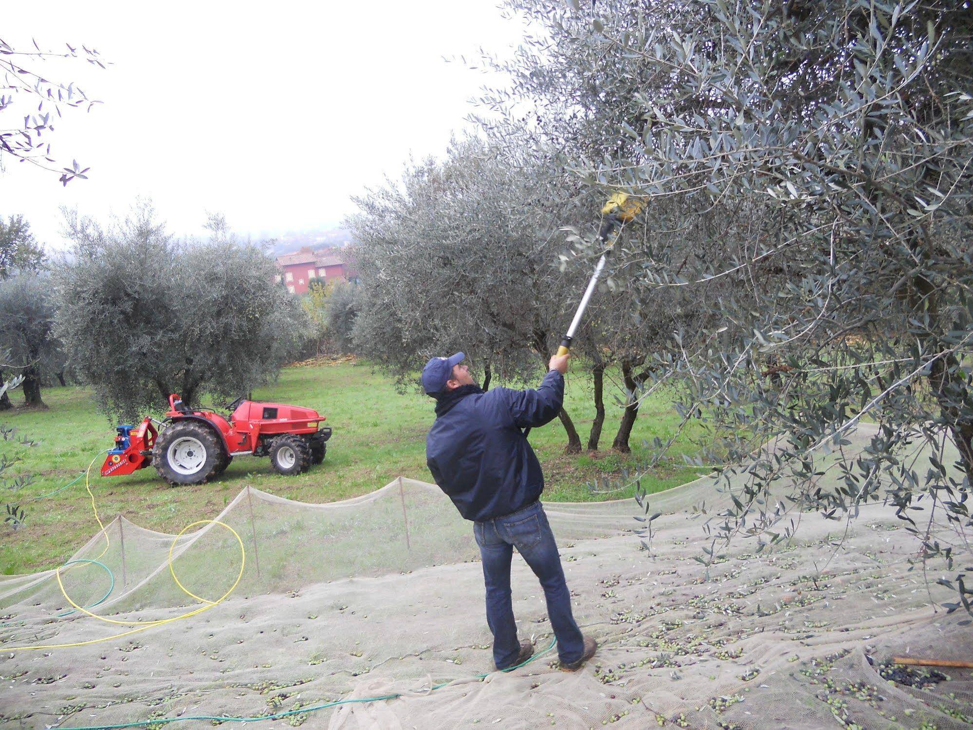 Agriturismo - Collina Toscana Resort