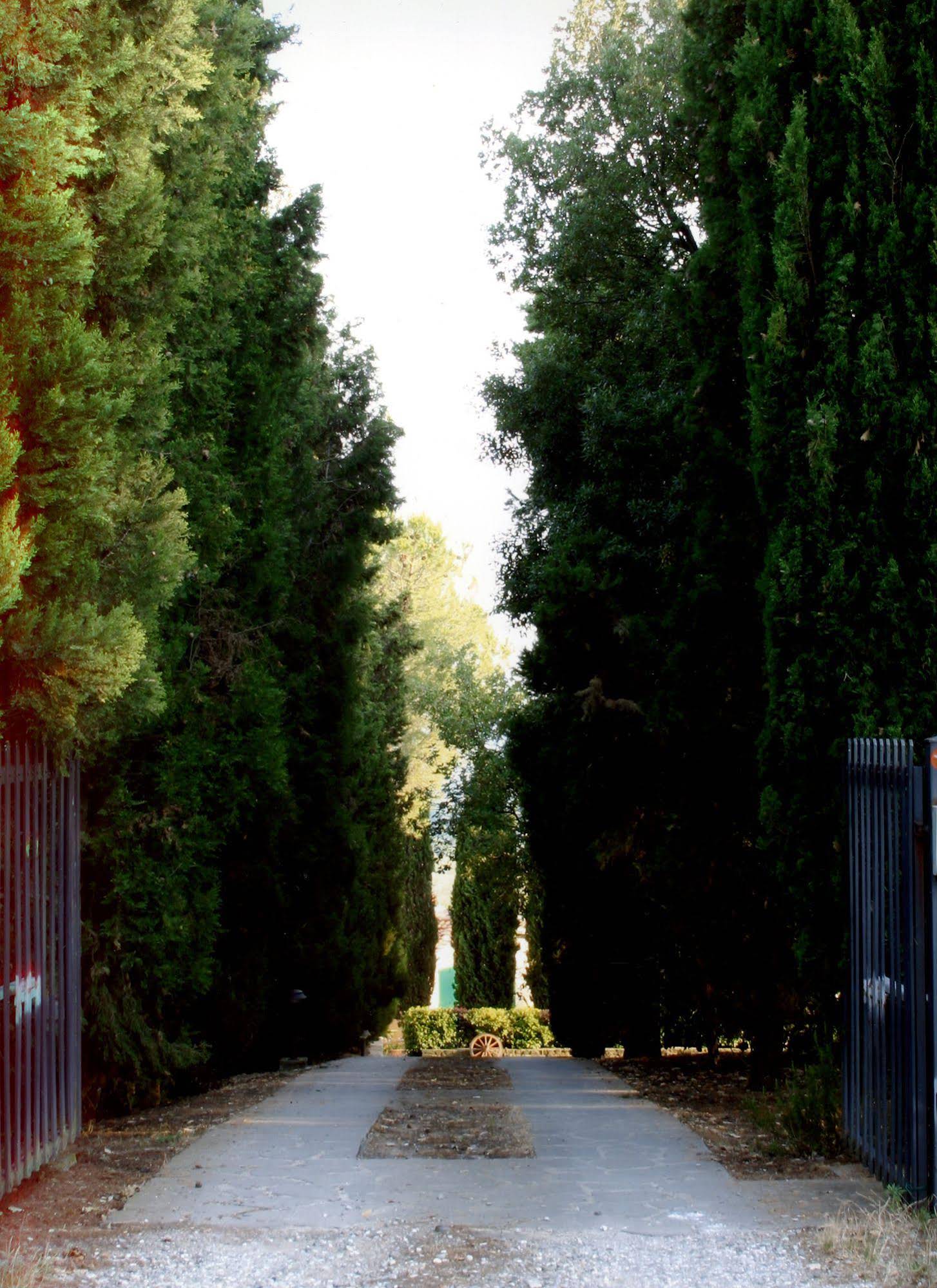 Agriturismo - Collina Toscana Resort