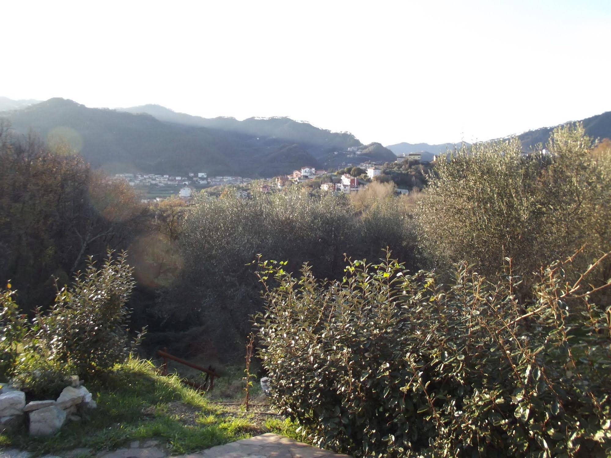 Luce Stellata